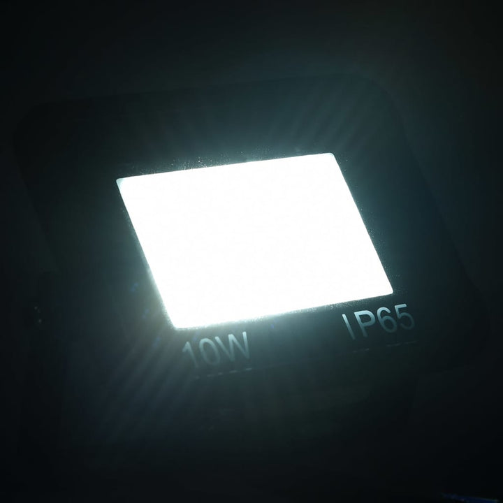 Spotlight LED 10 W koudwit