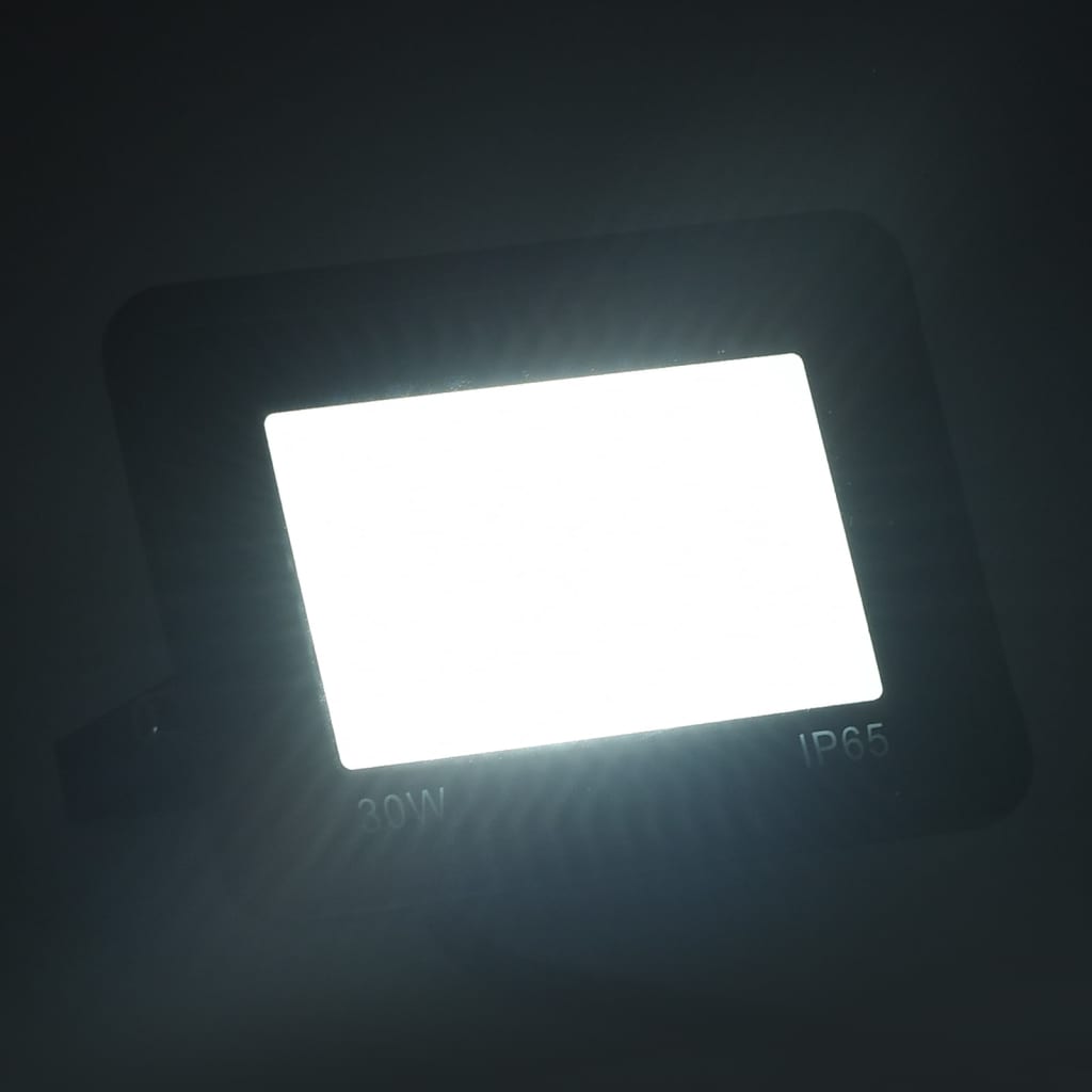 Spotlight LED 30 W koudwit