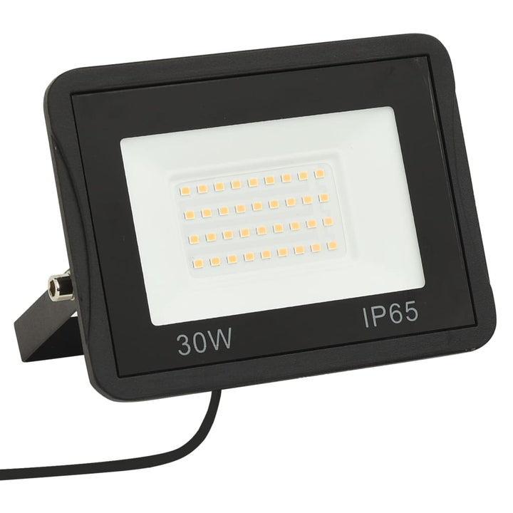 Spotlight LED 30 W koudwit - Griffin Retail
