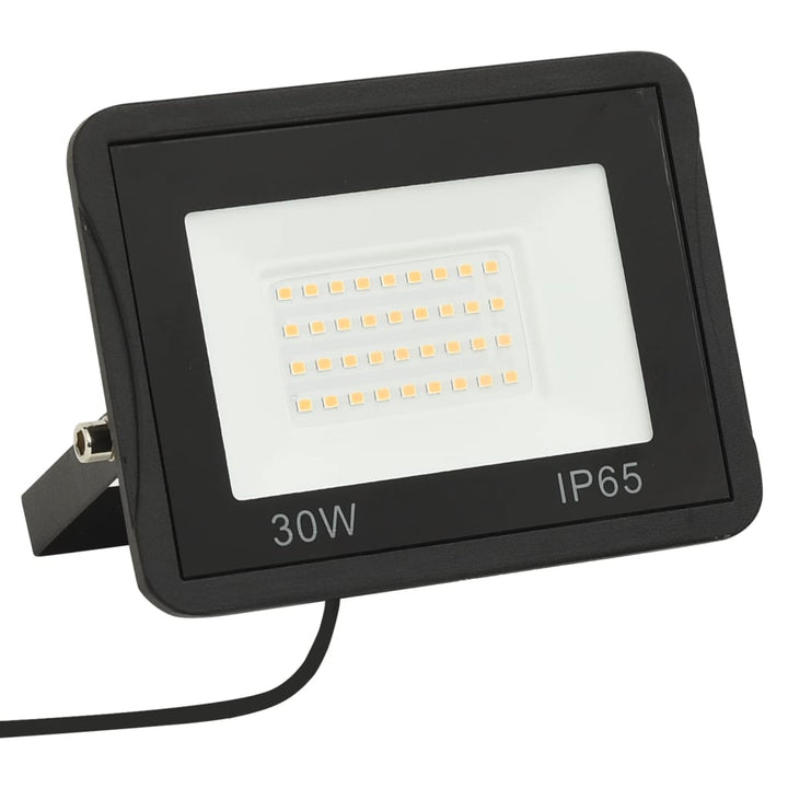 Spotlights 2 st LED 30 W koudwit - Griffin Retail