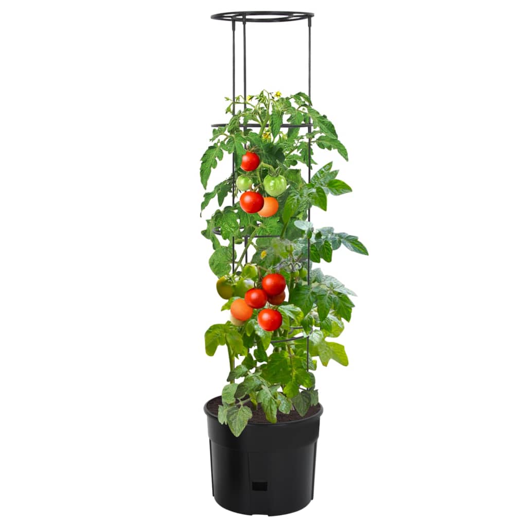 Tomatenkweekpot ø¸39x150 cm polypropeen antracietkleurig