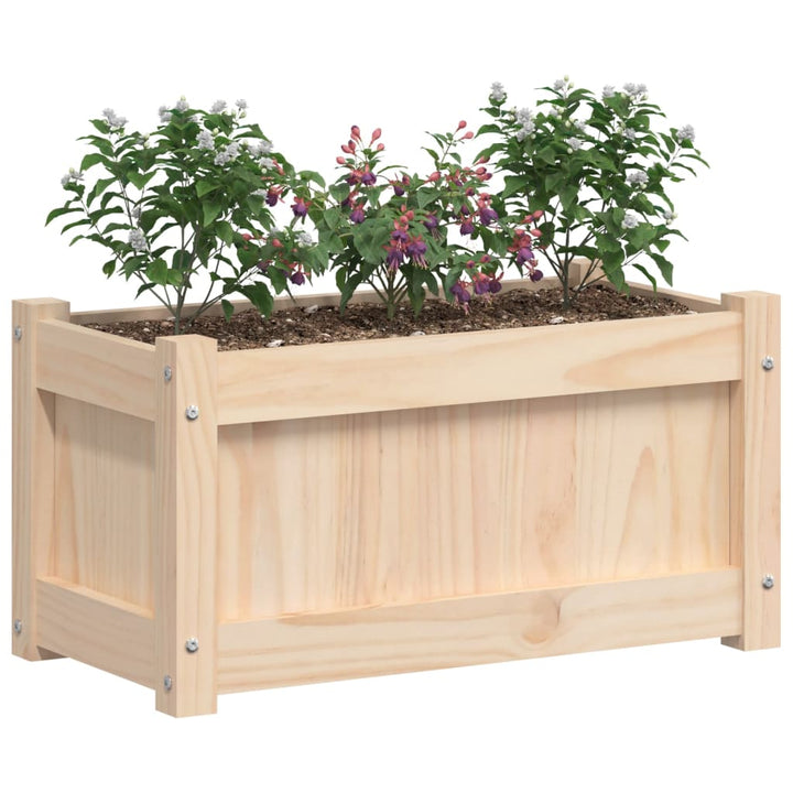 Plantenbak 60x31x31 cm massief groenhout