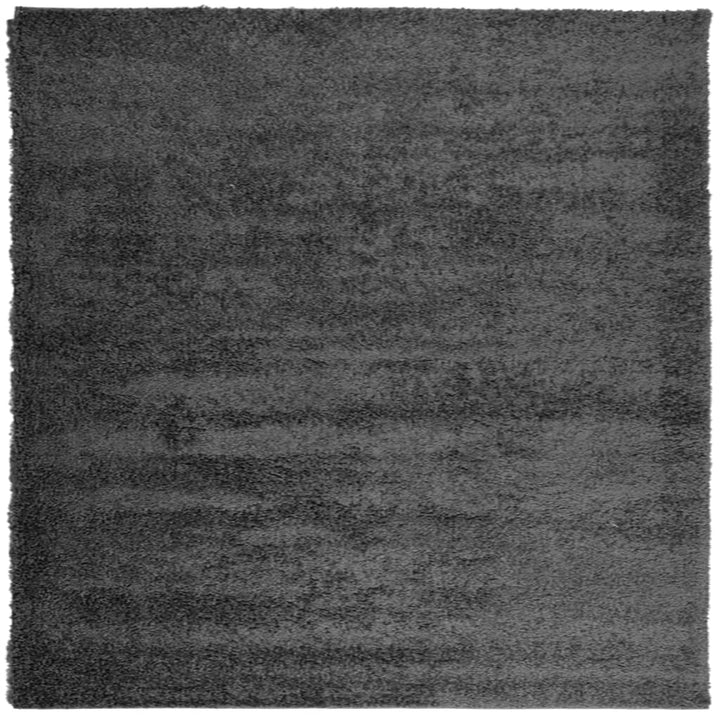 Vloerkleed PAMPLONA shaggy hoogpolig 240x240 cm antraciet