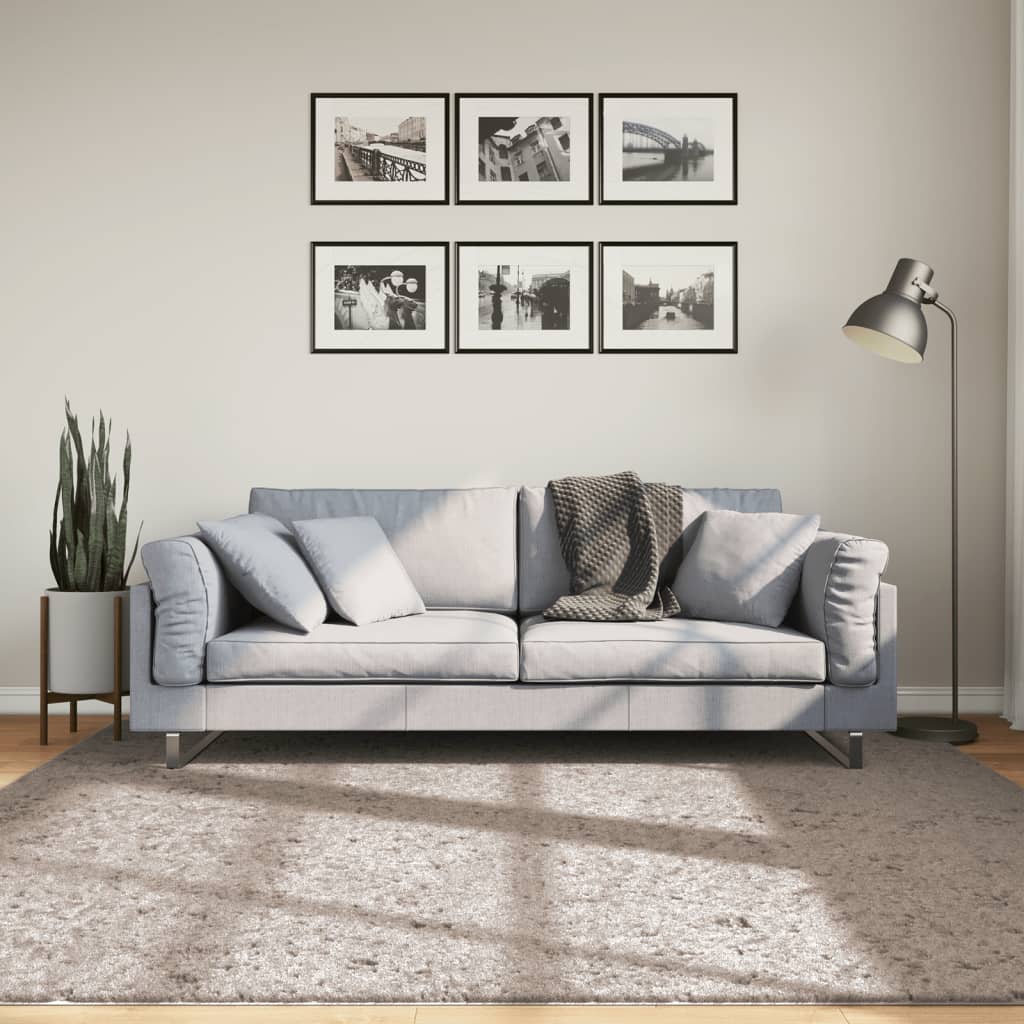 Vloerkleed PAMPLONA shaggy hoogpolig modern 200x200 cm beige