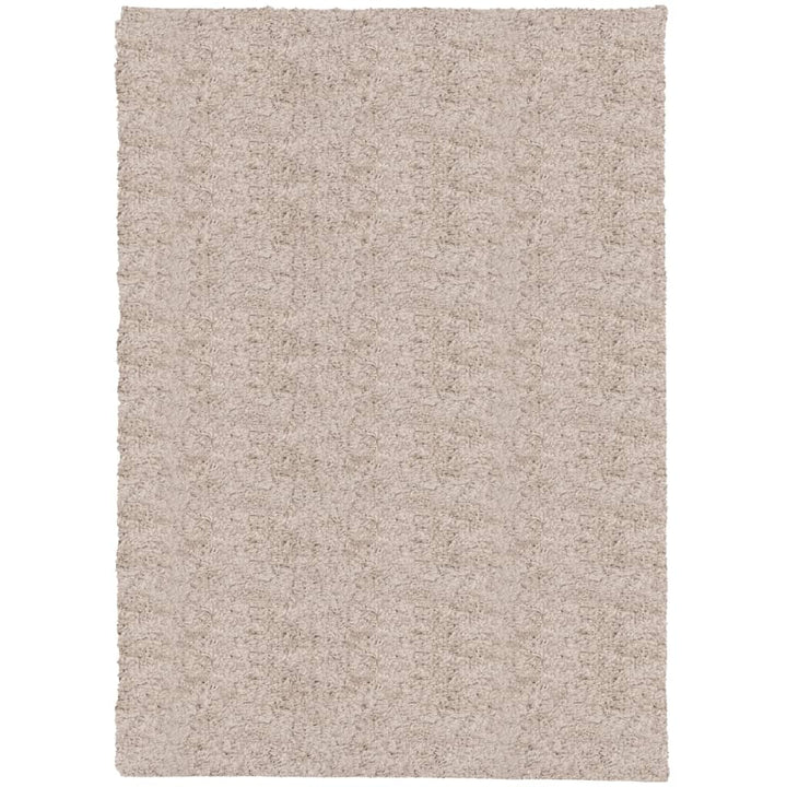 Vloerkleed PAMPLONA shaggy hoogpolig modern 200x280 cm beige