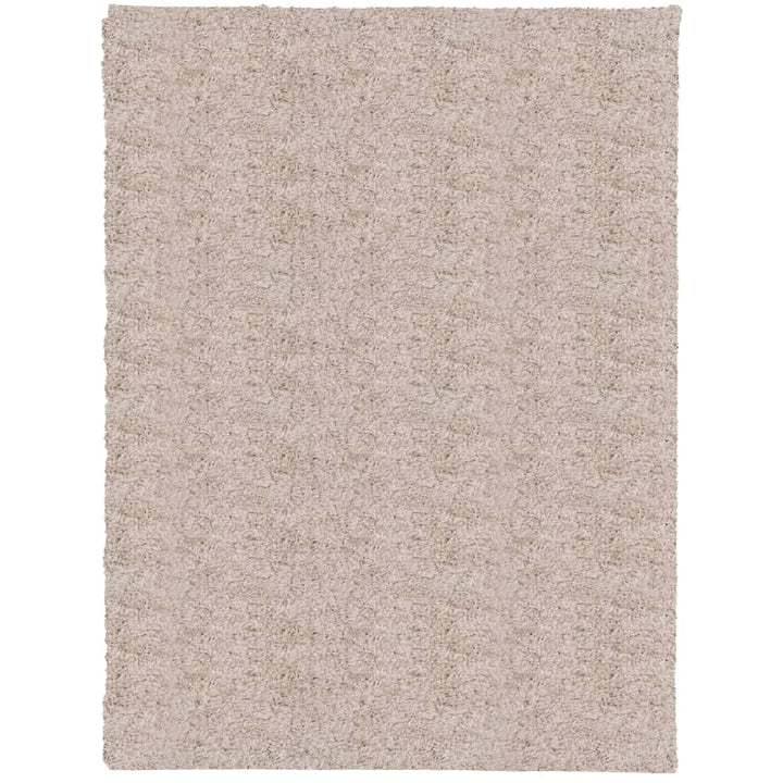 Vloerkleed PAMPLONA shaggy hoogpolig modern 300x400 cm beige