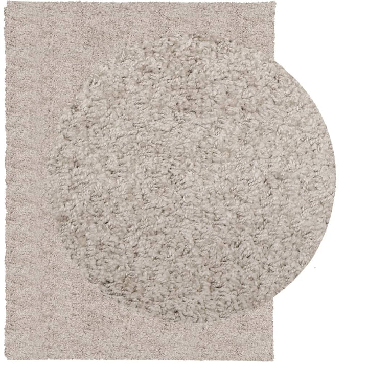 Vloerkleed PAMPLONA shaggy hoogpolig modern 300x400 cm beige