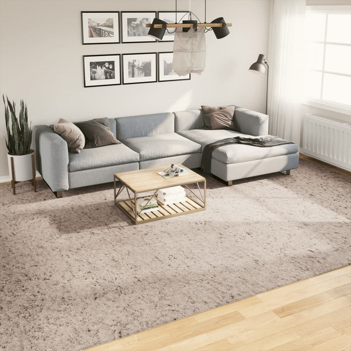 Vloerkleed PAMPLONA shaggy hoogpolig modern 300x400 cm beige