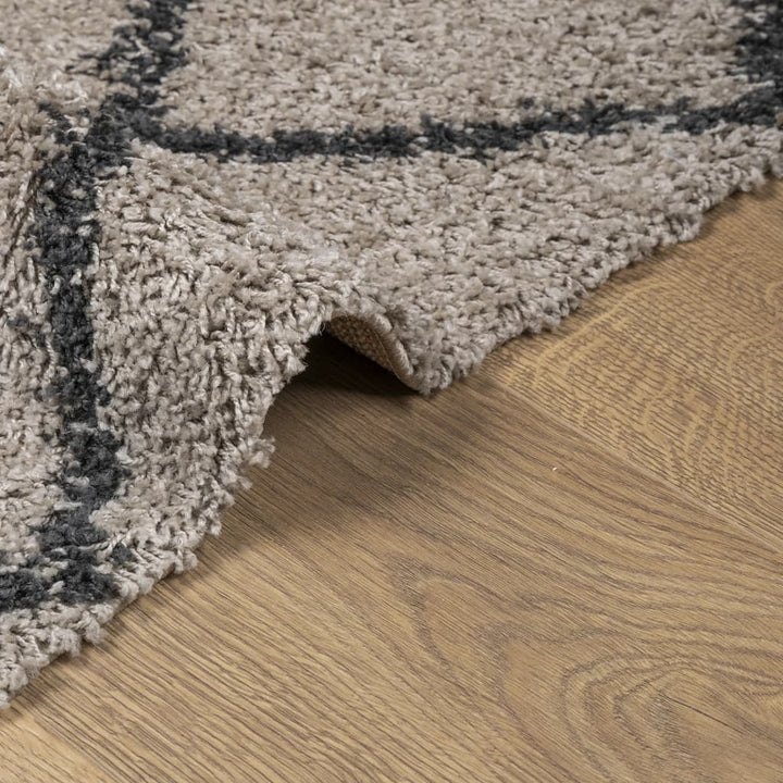 Vloerkleed PAMPLONA shaggy hoogpolig 80x150 cm beige antraciet