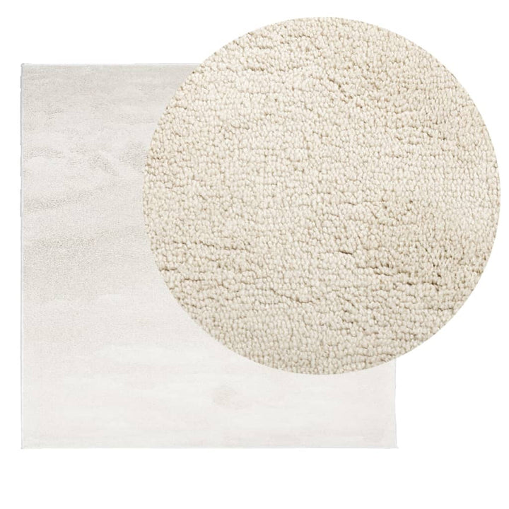 Vloerkleed OVIEDO laagpolig 120x120 cm beige