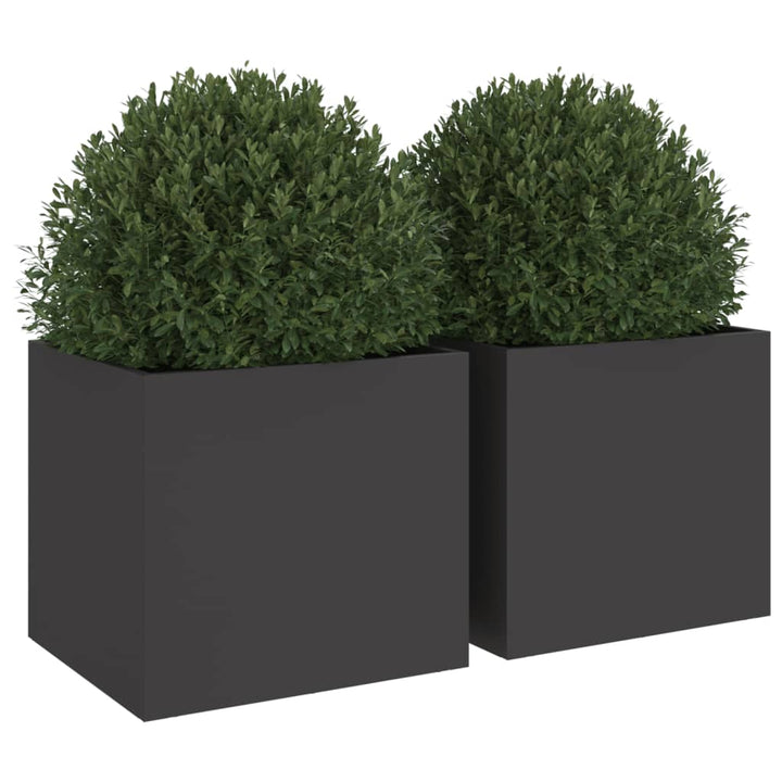 Plantenbakken 2 st 32x30x29 cm koudgewalst staal zwart