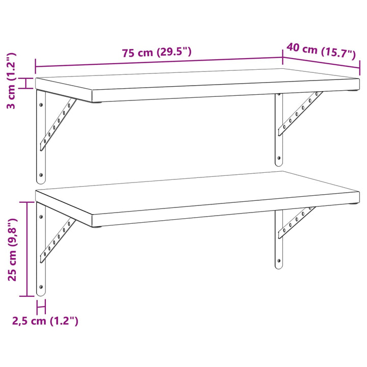 Wandschappen 2 st 75x40 cm roestvrijstaal zilverkleurig