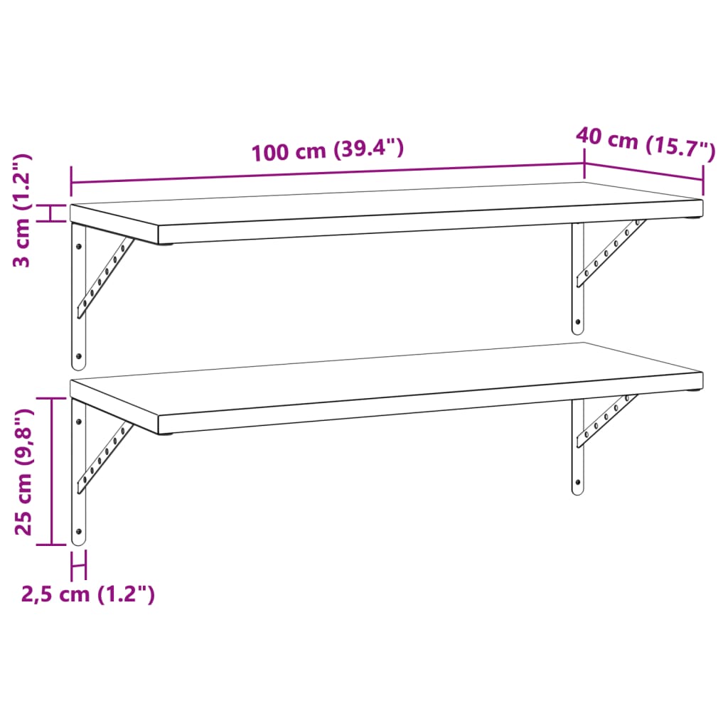 Wandschappen 2 st 100x40 cm roestvrijstaal zwart