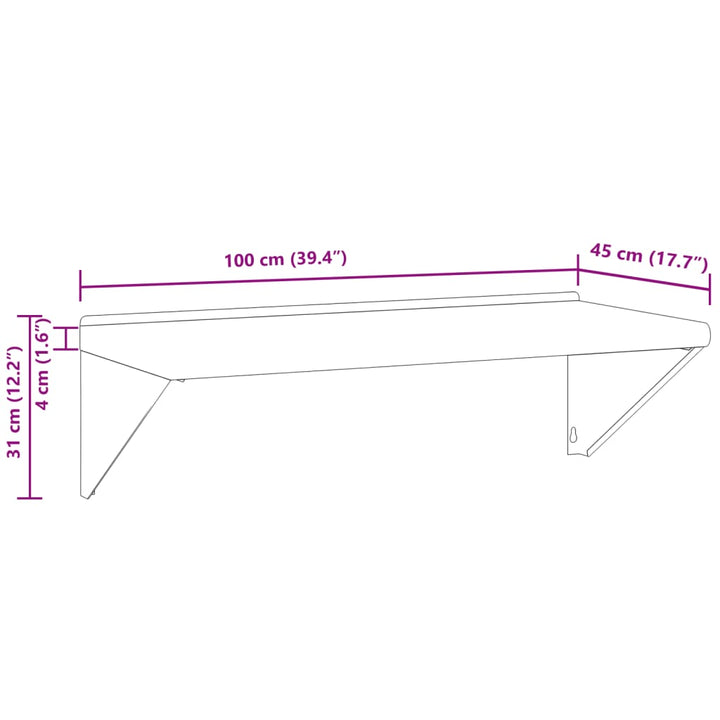 Wandschap 100x45x31 cm roestvrijstaal zilverkleurig