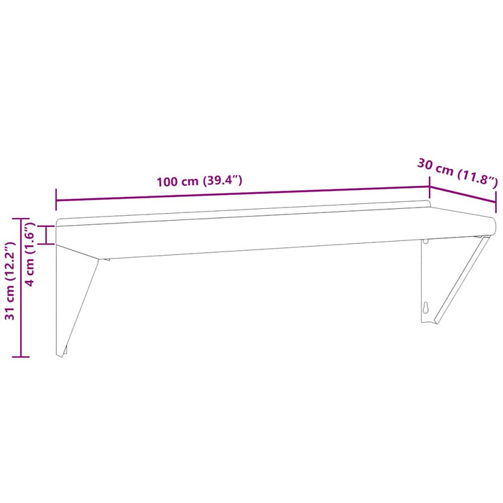 Wandschap 100x30x31 cm roestvrijstaal zilverkleurig