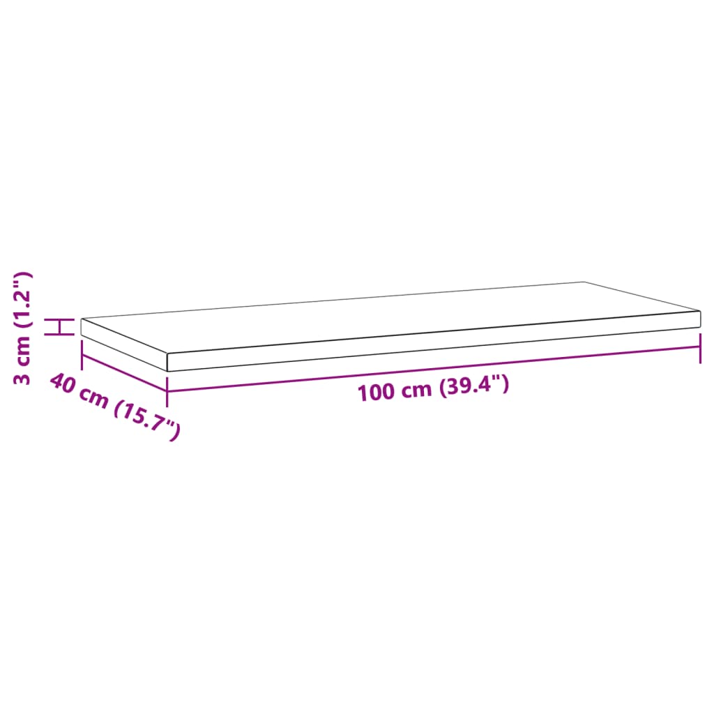 Wandschappen 2 st 100x40x3 cm roestvrijstaal zilverkleurig