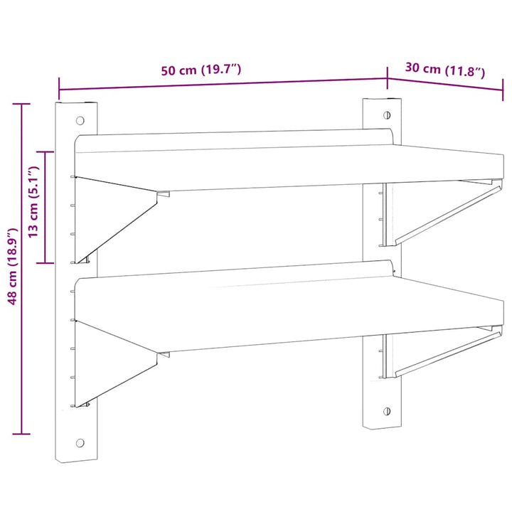 Wandschap 2-laags 50x30x60 cm roestvrijstaal zilverkleurig