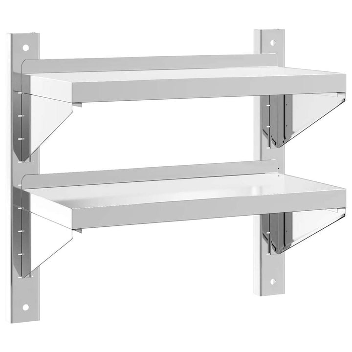 Wandschap 2-laags 50x23,5x60 cm roestvrijstaal zilverkleurig