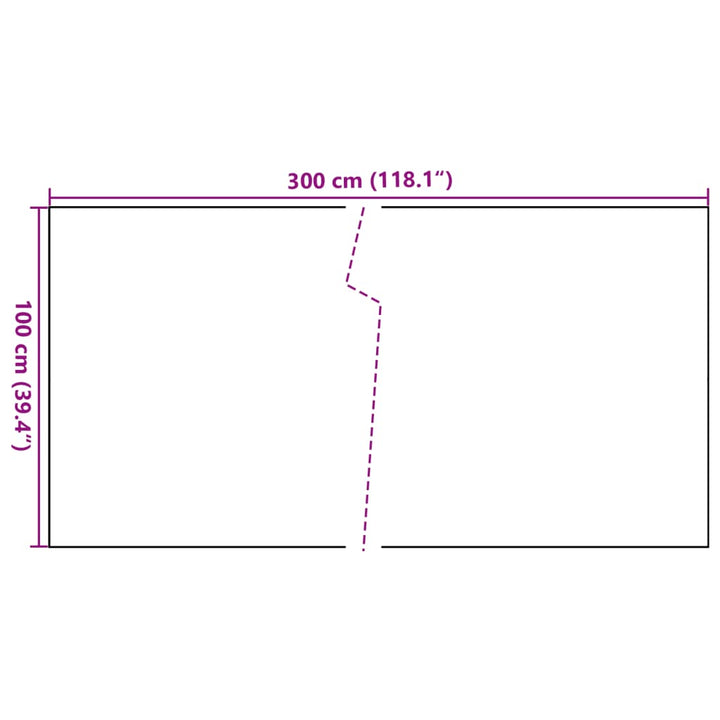 Balkonscherm 300x100 cm poly rattan antracietkleurig