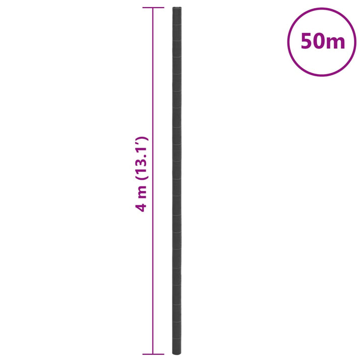 Worteldoek 4x50 m polypropeen zwart