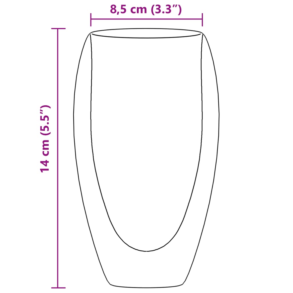 Bekerglazen 6 st dubbelwandig 450 ml