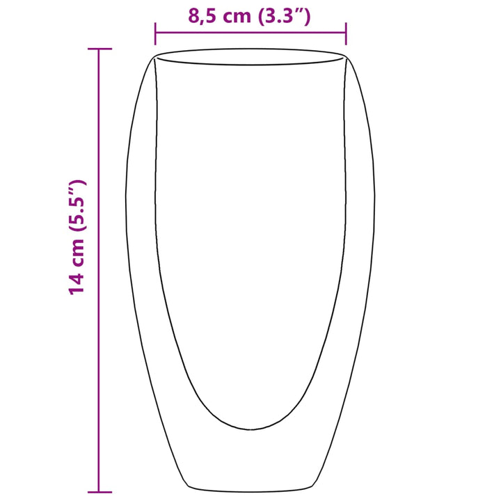 Bekerglazen 6 st dubbelwandig 450 ml