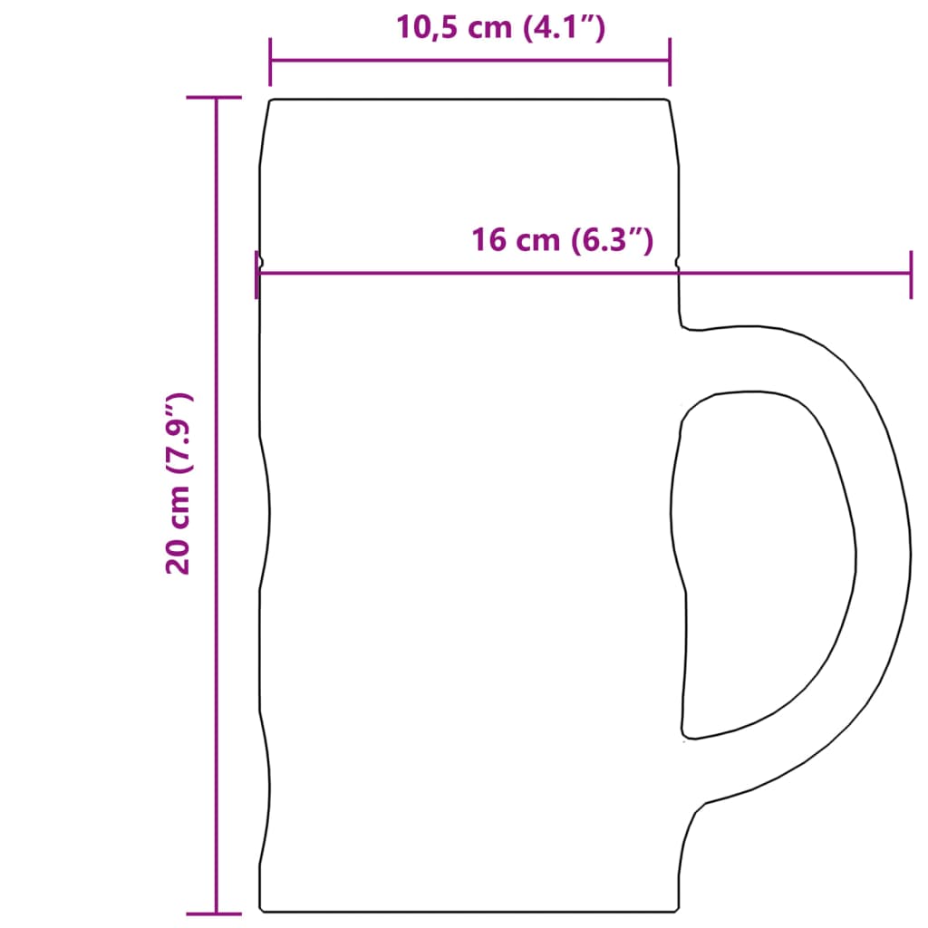 Bierpullen met handvat 6 st 1000 ml glas