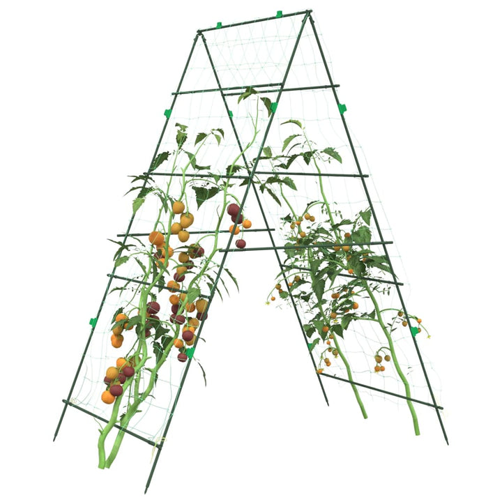 Plantenklimrekken 2 st A-frame staal