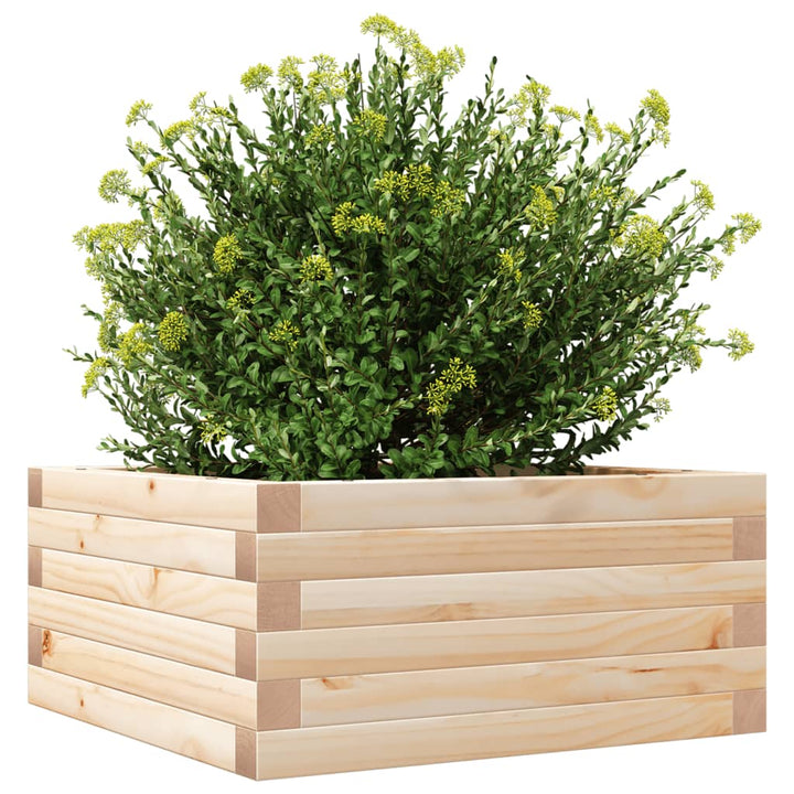 Plantenbak 50x50x23 cm massief groenhout