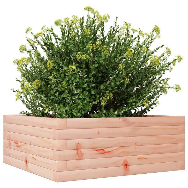 Plantenbak 60x60x23 cm massief douglashout