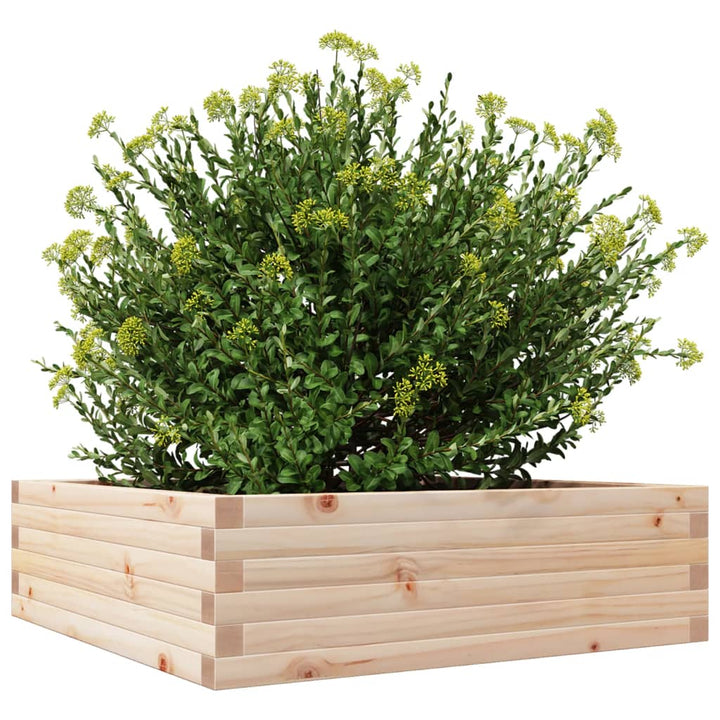 Plantenbak 80x80x23 cm massief groenhout