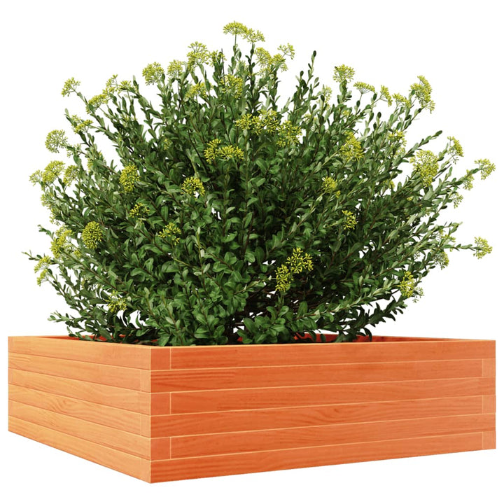 Plantenbak 80x80x23 cm massief groenenhout wasbruin