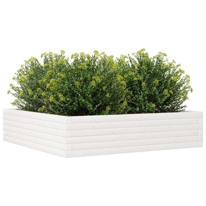 Plantenbak 100x100x23 cm massief groenenhout wit