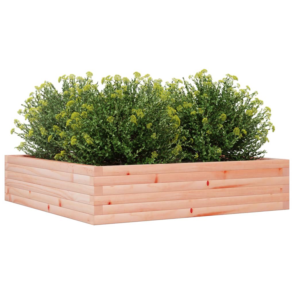 Plantenbak 100x100x23 cm massief douglashout