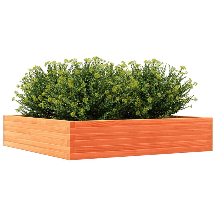 Plantenbak 110x110x23 cm massief groenenhout wasbruin