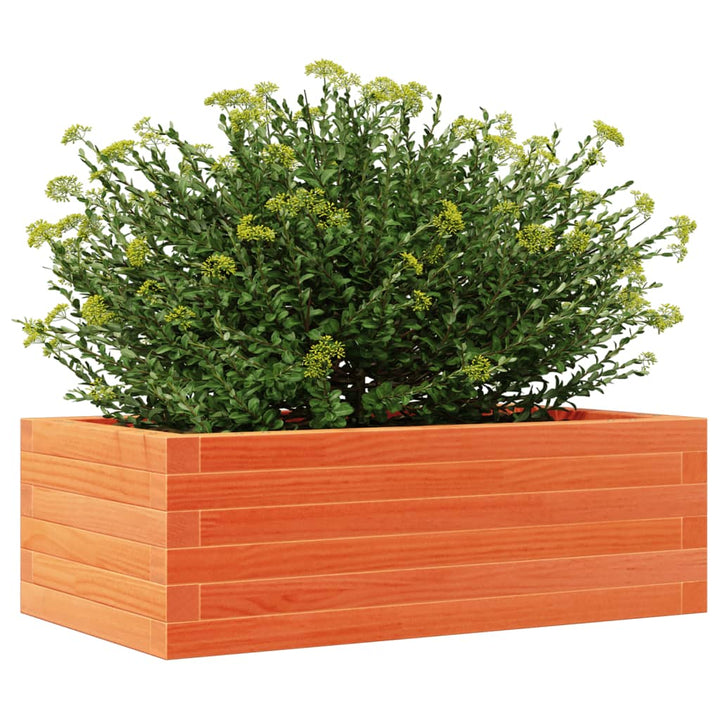 Plantenbak 70x40x23 cm massief groenenhout wasbruin