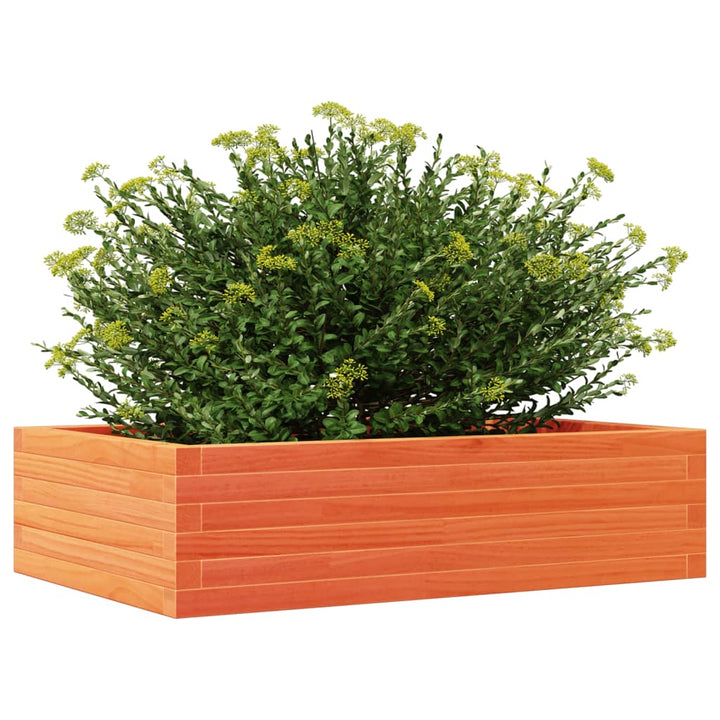 Plantenbak 90x60x23 cm massief groenenhout wasbruin