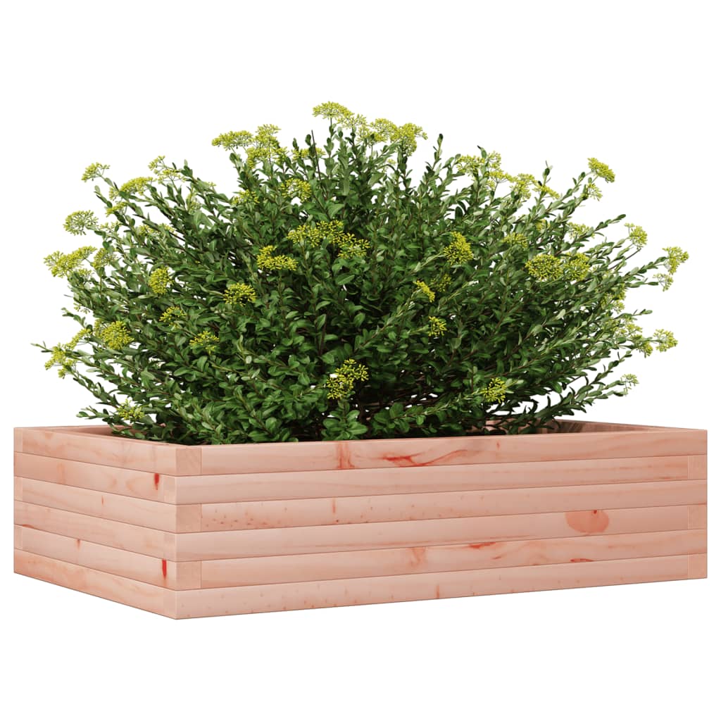 Plantenbak 90x60x23 cm massief douglashout