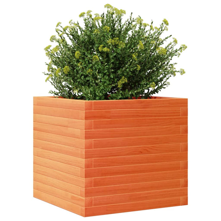 Plantenbak 50x50x45,5 cm massief grenenhout wasbruin