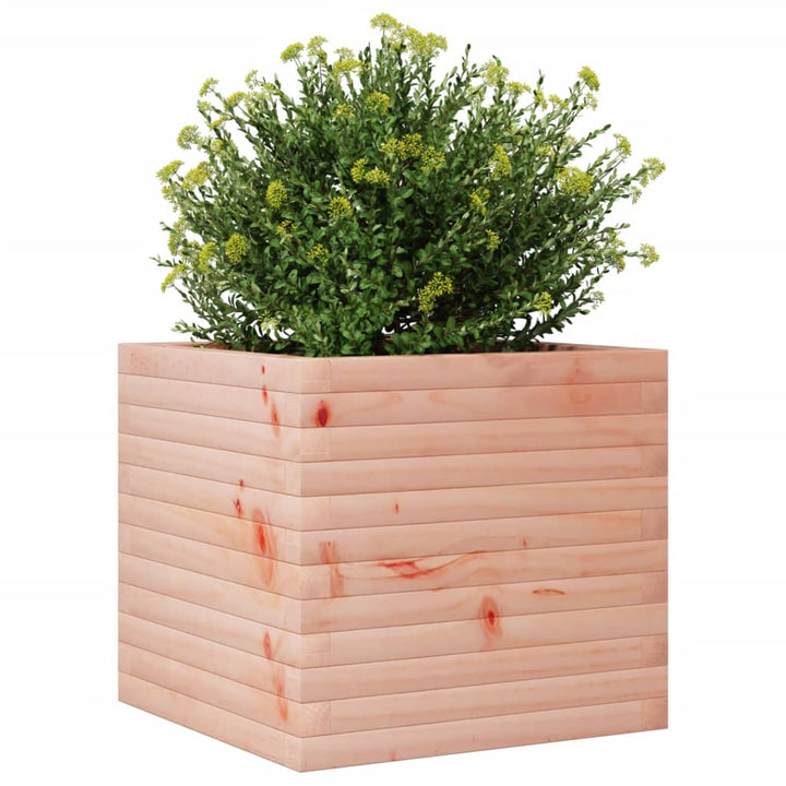 Plantenbak 50x50x45,5 cm massief douglashout