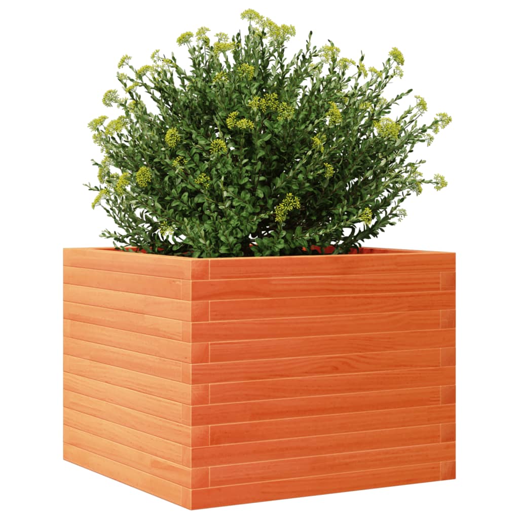 Plantenbak 60x60x45,5 cm massief grenenhout wasbruin