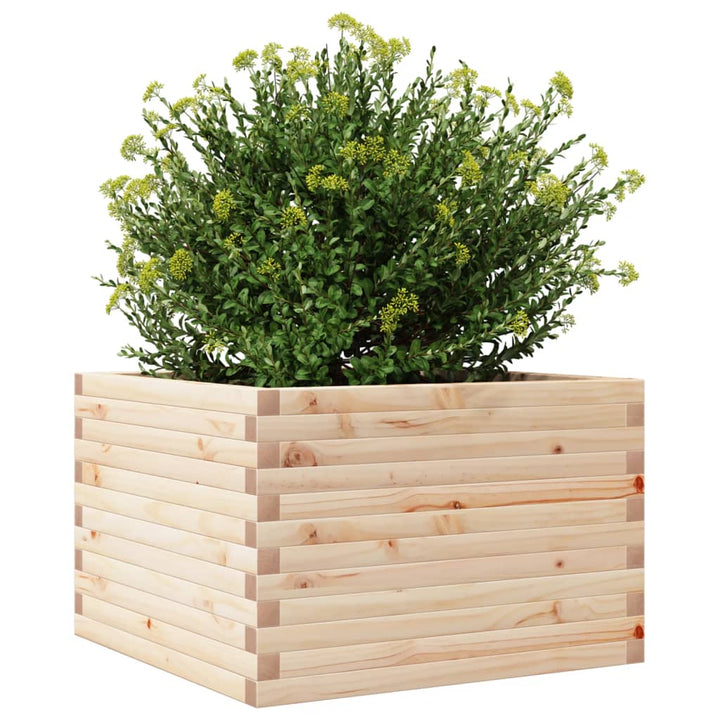 Plantenbak 70x70x45,5 cm massief grenenhout