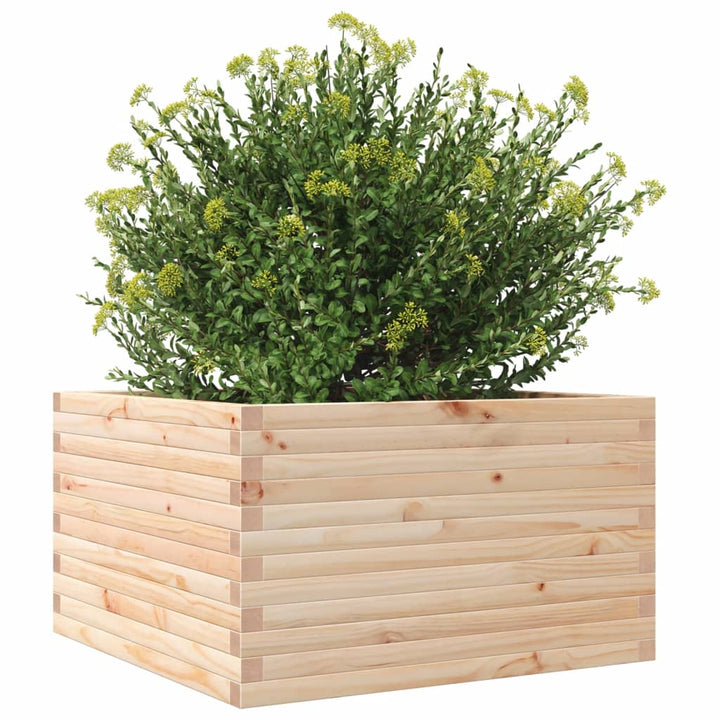 Plantenbak 80x80x45,5 cm massief grenenhout