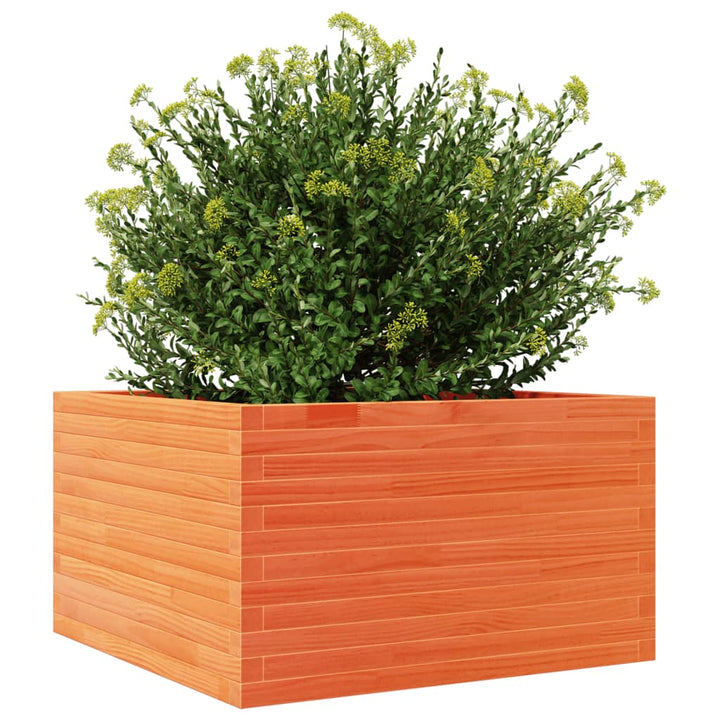 Plantenbak 80x80x45,5 cm massief grenenhout wasbruin