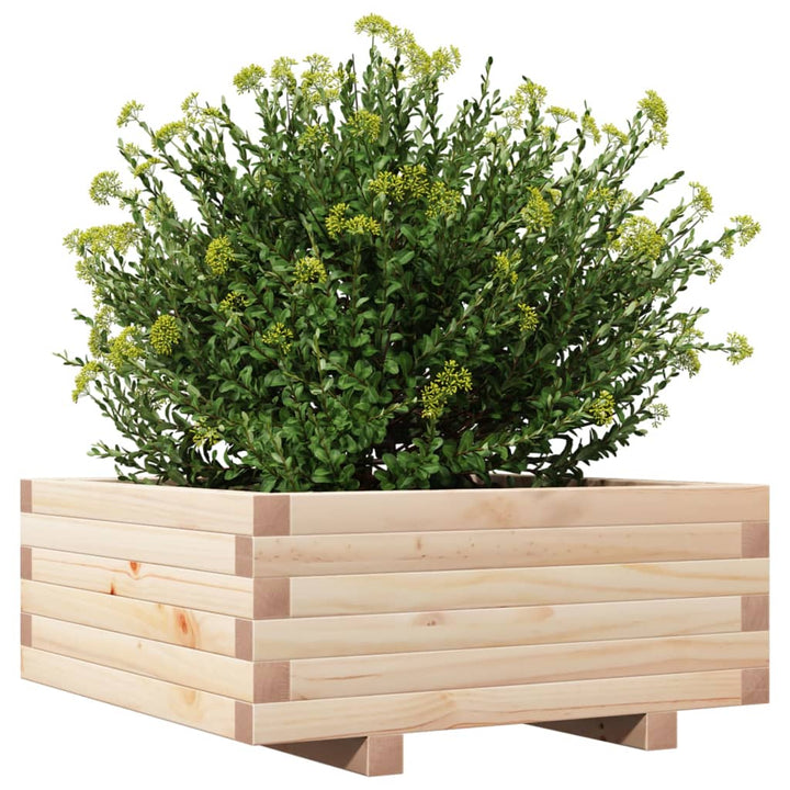 Plantenbak 60x60x26,5 cm massief groenhout