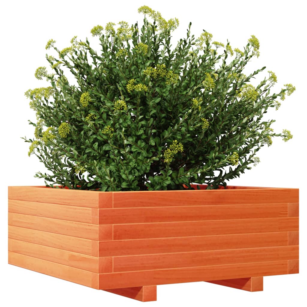 Plantenbak 60x60x26,5 cm massief groenenhout wasbruin