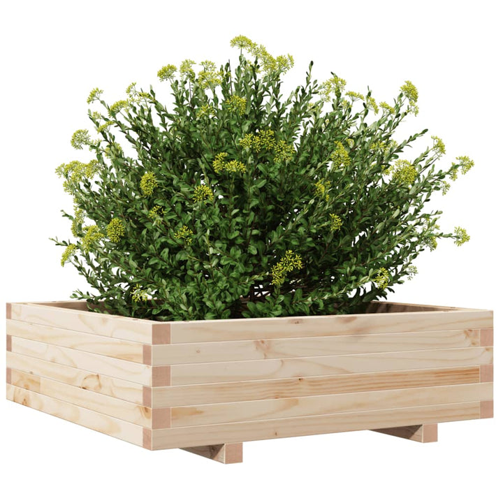 Plantenbak 80x80x26,5 cm massief groenhout