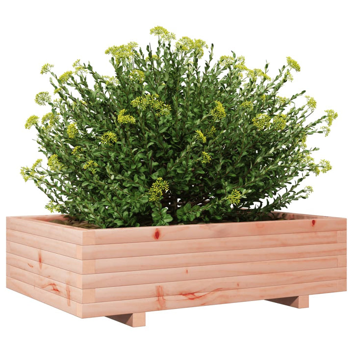 Plantenbak 90x60x26,5 cm massief douglashout