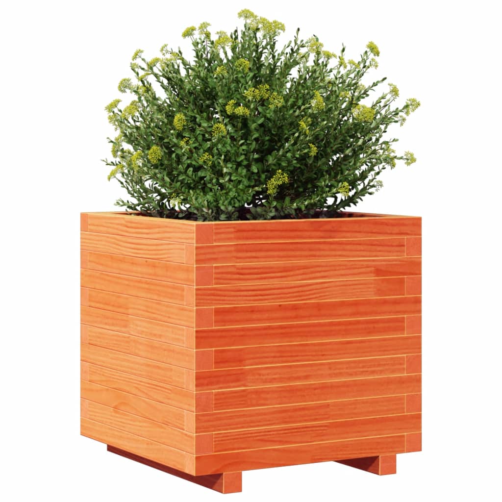 Plantenbak 50x50x49,5 cm massief groenenhout wasbruin