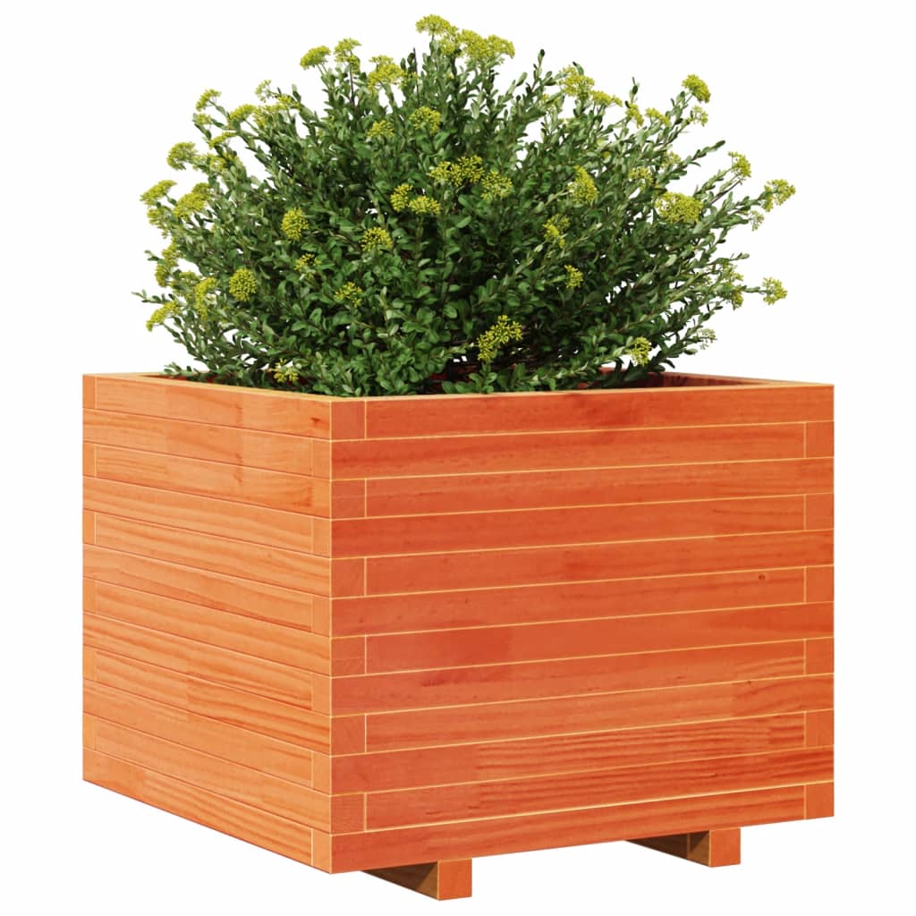 Plantenbak 60x60x49,5 cm massief groenenhout wasbruin